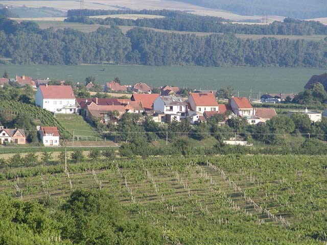 Vyklízení Čejč